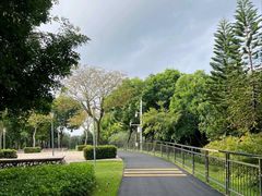 -深圳人才公园