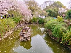 -苏州上方山国家森林公园