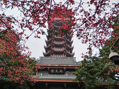 -塔子山公园
