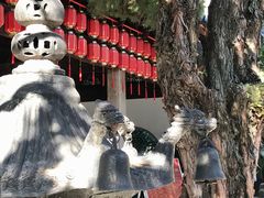 -秋霞圃