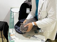 -艾贝尔宠物医院·24H转诊中心·肿瘤猫专科(江宁双龙店)