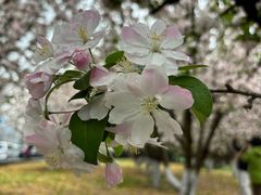 -元大都城垣遗址公园