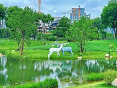 -后襄河公园