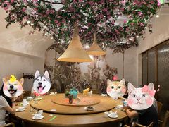 -金孔雀德宏傣味餐馆(魏公村店)