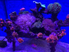 -上海海昌海洋公园