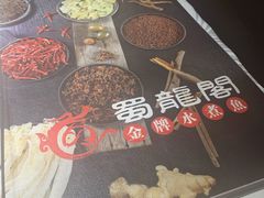 -雲蜀龙阁·金牌水煮鱼(方庄店)