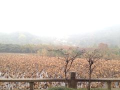 iphone_upload_pic-三山岛
