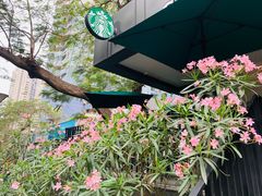 -星巴克(深圳侨城街店)