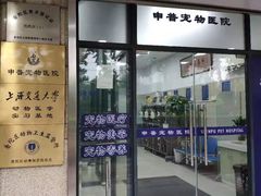 -申普宠物医院·眼科·心内科·影像科(普陀分院)
