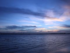 -宝安西湾红树林湿地公园