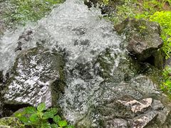 -杭州花家山庄