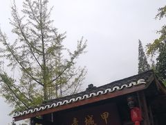 -青城甲(青城山店)