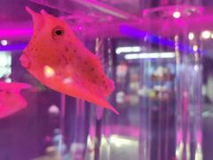 -大连圣亚海洋世界