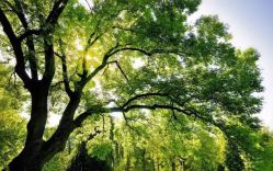 -苏州太湖国际会议中心·香山酒店·宴会厅