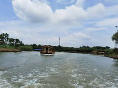 -泗洪洪泽湖湿地景区