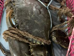 -龙海鲜螃蟹王(宏茂桥店)