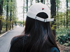 -东平国家森林公园