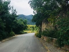 -北京鹫峰国家森林公园