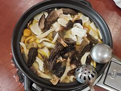 -菌之家·专业纯野生菌火锅·特色炒菌