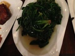 -中国饭店-餐厅