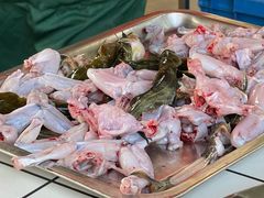 -渔小贰 稻田蛙·鱼火锅