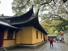 -普陀山风景名胜区-法雨禅寺
