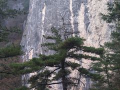 -秦岭天竺山景区