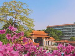 -深圳仙湖植物园-停车场