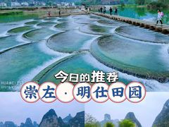 -明仕田园