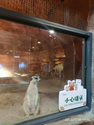 -酷嗒动物文化乐园(cutezoo西溪乐天城店)