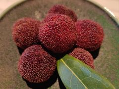 -新荣记(新源南路店)