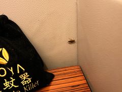 -三亚中亚国际大酒店