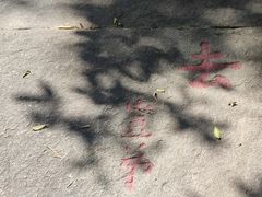 -禅宗三祖寺