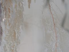 -伊斯坦布尔土耳其清真咖啡餐厅