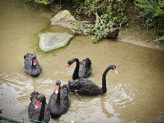 -梅岭铜源峡风景区