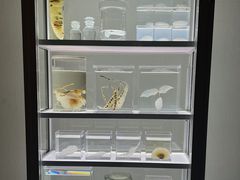 -上海当代艺术博物馆