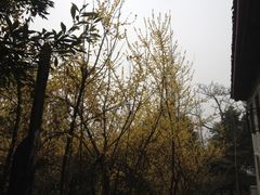 iphone_upload_pic-成都老君山