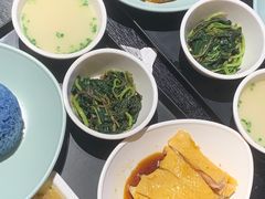 -Asianplus海蓝鸡饭