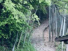 -莫干山风景区