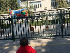 -三里屯东五街银杏大道