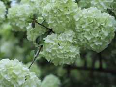 -大龙山(地铁站)