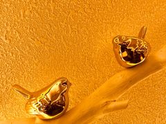 -美国加州牛肉面(锦绣天第裕龙花园店)