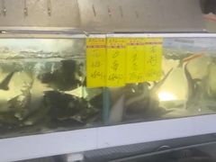 -水上人家河鲜