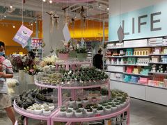 -KKV(深圳宏发大仟里店)