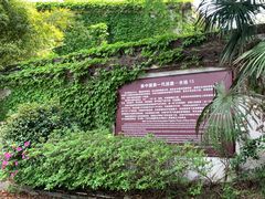 -枫泾古镇-人民公社旧址