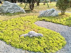 -府河摄影公园