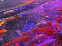 -南昌融创海世界
