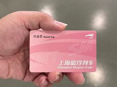 -龙阳路磁悬浮列车总站-停车场