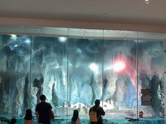 -帝企鹅自助餐厅•儿童岛•真企鹅(长隆企鹅酒店)