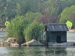 -太阳宫公园